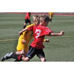 780x52014.ST Schmiedeberg-BSG  5.5.12  9Uhr (43).JPG